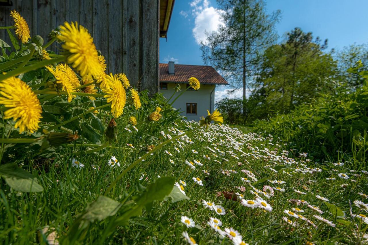 Ferienhaus Schlierachtal Miesbach Exterior foto